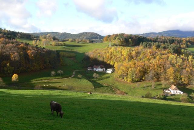 Vue du paysage en Automne