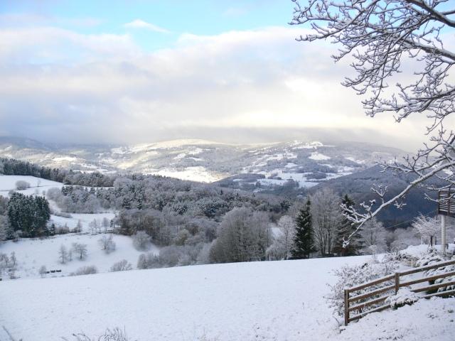 Vue du paysage en hiver