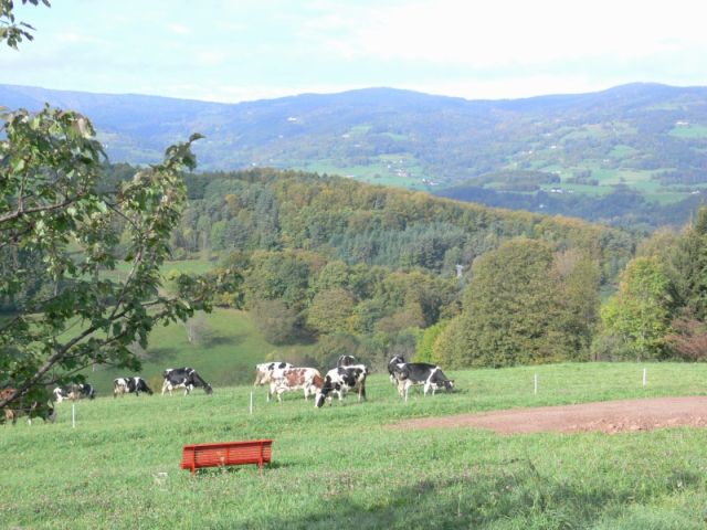 Le pré en Automne